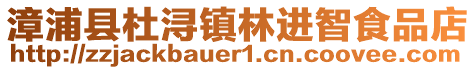 漳浦縣杜潯鎮林進智食品店