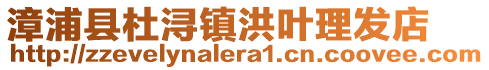 漳浦縣杜潯鎮洪葉理發店