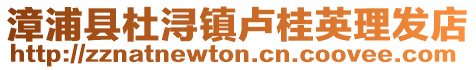 漳浦縣杜潯鎮(zhèn)盧桂英理發(fā)店