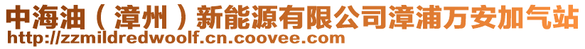 中海油（漳州）新能源有限公司漳浦萬安加氣站