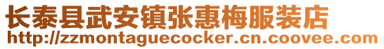 長泰縣武安鎮(zhèn)張惠梅服裝店