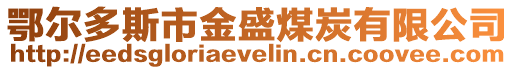 鄂爾多斯市金盛煤炭有限公司