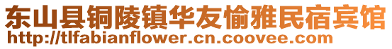 東山縣銅陵鎮(zhèn)華友愉雅民宿賓館