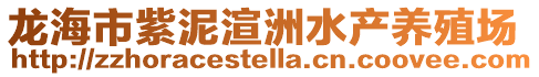 龙海市紫泥渲洲水产养殖场