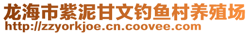 龙海市紫泥甘文钓鱼村养殖场