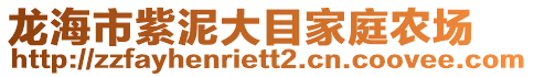 龍海市紫泥大目家庭農場