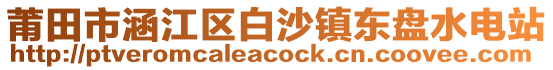 莆田市涵江區(qū)白沙鎮(zhèn)東盤水電站