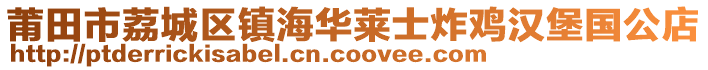 莆田市荔城區(qū)鎮(zhèn)海華萊士炸雞漢堡國公店