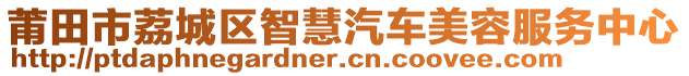 莆田市荔城區(qū)智慧汽車美容服務(wù)中心