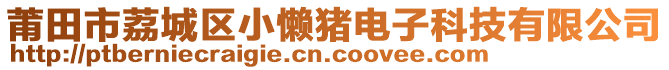 莆田市荔城區小懶豬電子科技有限公司