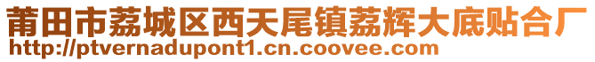 莆田市荔城區(qū)西天尾鎮(zhèn)荔輝大底貼合廠