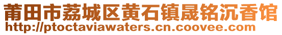 莆田市荔城區黃石鎮晟銘沉香館