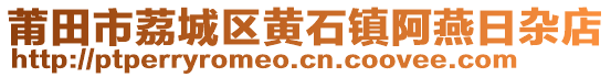 莆田市荔城區黃石鎮阿燕日雜店