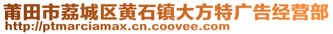 莆田市荔城區(qū)黃石鎮(zhèn)大方特廣告經(jīng)營部