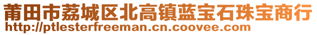 莆田市荔城區北高鎮藍寶石珠寶商行