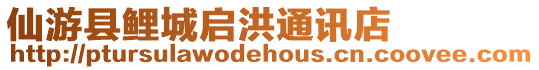 仙游縣鯉城啟洪通訊店