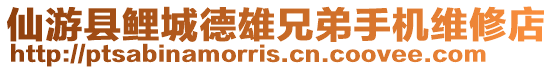 仙游縣鯉城德雄兄弟手機維修店