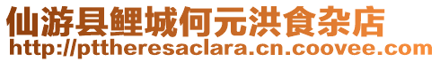 仙游縣鯉城何元洪食雜店