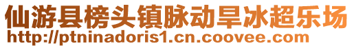 仙游縣榜頭鎮(zhèn)脈動(dòng)旱冰超樂(lè)場(chǎng)