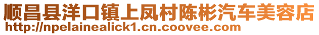 顺昌县洋口镇上凤村陈彬汽车美容店