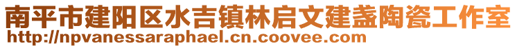 南平市建陽區(qū)水吉鎮(zhèn)林啟文建盞陶瓷工作室