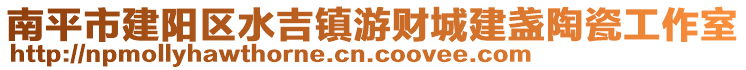 南平市建陽區(qū)水吉鎮(zhèn)游財城建盞陶瓷工作室