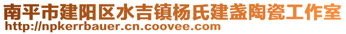 南平市建陽區(qū)水吉鎮(zhèn)楊氏建盞陶瓷工作室