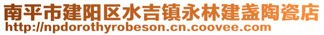 南平市建陽區水吉鎮永林建盞陶瓷店