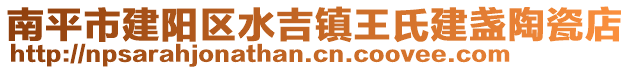 南平市建陽區水吉鎮王氏建盞陶瓷店