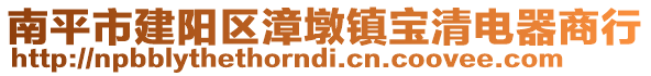 南平市建陽區(qū)漳墩鎮(zhèn)寶清電器商行