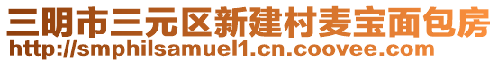 三明市三元區(qū)新建村麥寶面包房
