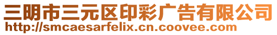 三明市三元區(qū)印彩廣告有限公司