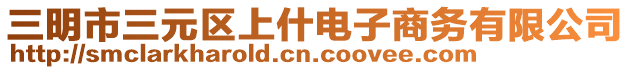 三明市三元區(qū)上什電子商務有限公司