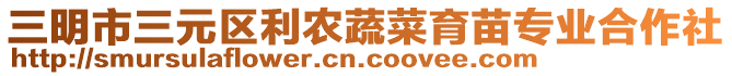 三明市三元區利農蔬菜育苗專業合作社