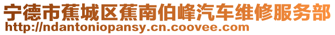 寧德市蕉城區蕉南伯峰汽車維修服務部