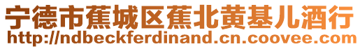 寧德市蕉城區(qū)蕉北黃基兒酒行