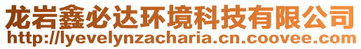 龍巖鑫必達環境科技有限公司