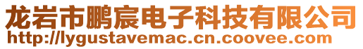 龍巖市鵬宸電子科技有限公司