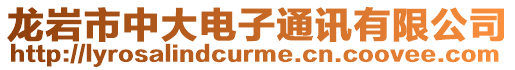 龍巖市中大電子通訊有限公司