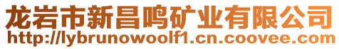 龍巖市新昌鳴礦業有限公司
