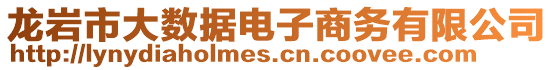 龍巖市大數據電子商務有限公司