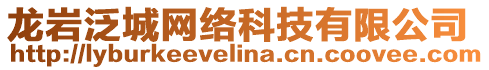 龍巖泛城網絡科技有限公司