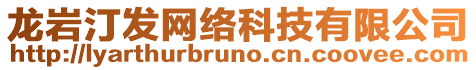 龍巖汀發網絡科技有限公司