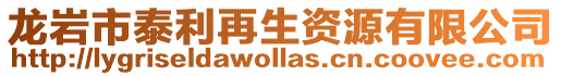 龍巖市泰利再生資源有限公司