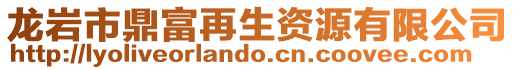 龍巖市鼎富再生資源有限公司