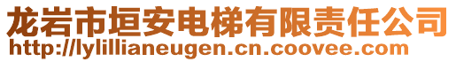 龍巖市垣安電梯有限責(zé)任公司