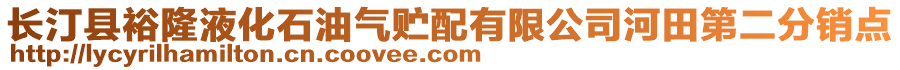 長汀縣裕隆液化石油氣貯配有限公司河田第二分銷點