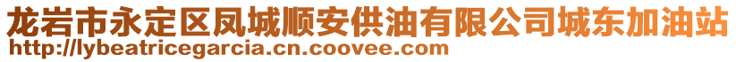 龍巖市永定區(qū)鳳城順安供油有限公司城東加油站