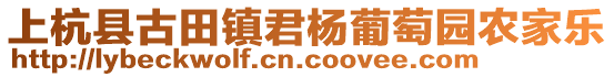 上杭縣古田鎮(zhèn)君楊葡萄園農家樂