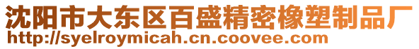 沈陽市大東區(qū)百盛精密橡塑制品廠